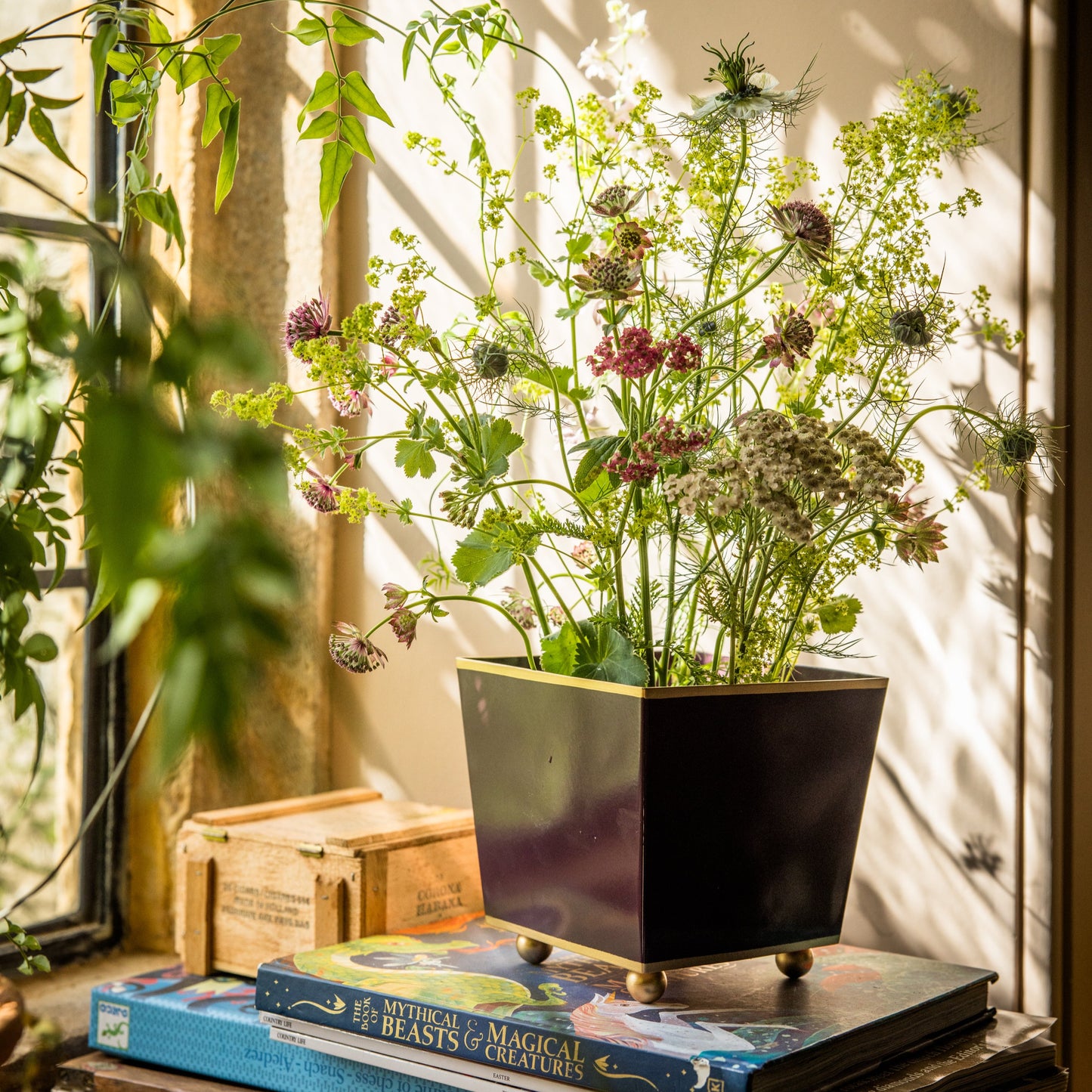 Floral arrangement in a pot on books with a window and soft shadows in the background.