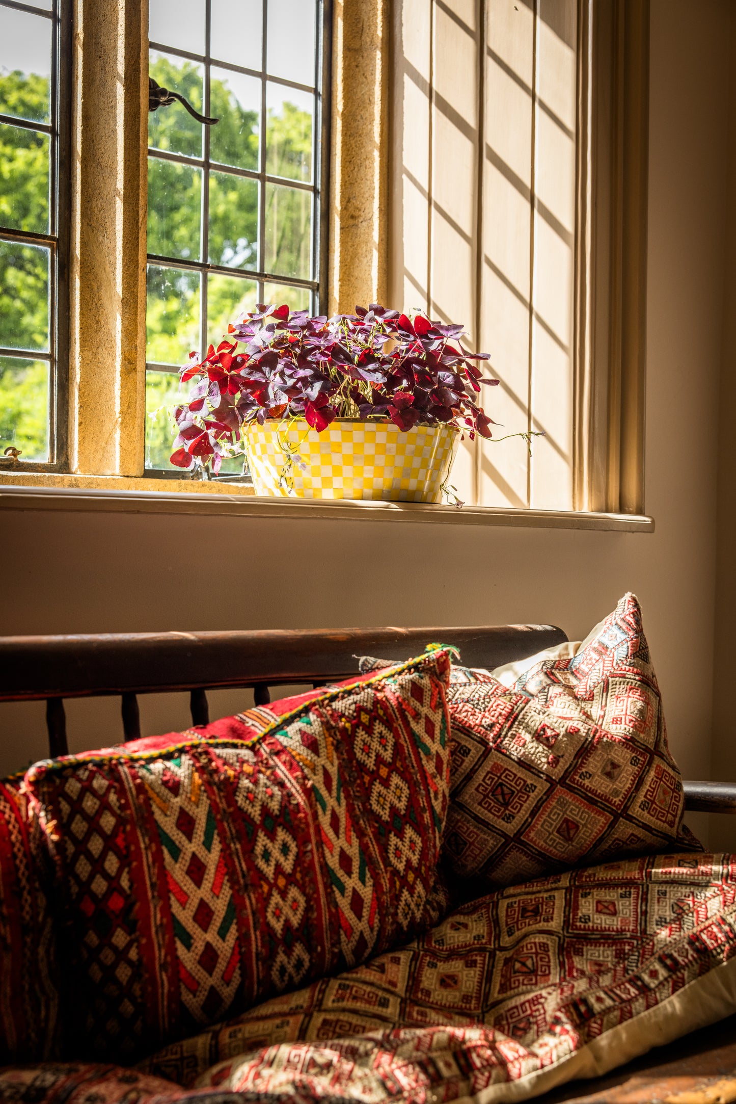 A bench under a window with a yellow checkerboard plant pot holding a houseplant with purple leaves resting on the windowsill ledge.