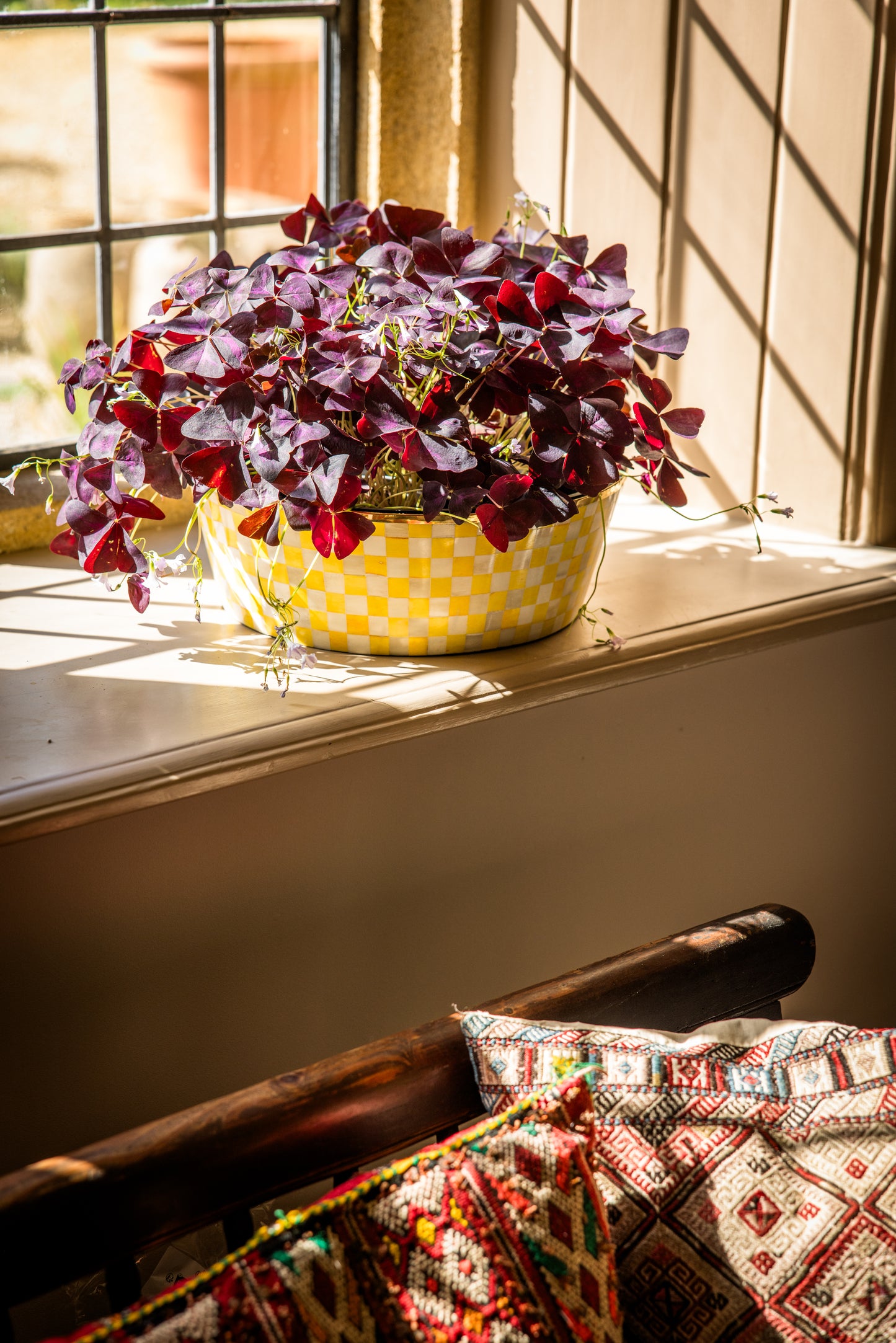 Purple oxalis in a yellow checkered pot on a sunny windowsill with a wooden bench and patterned cushions in the foreground.