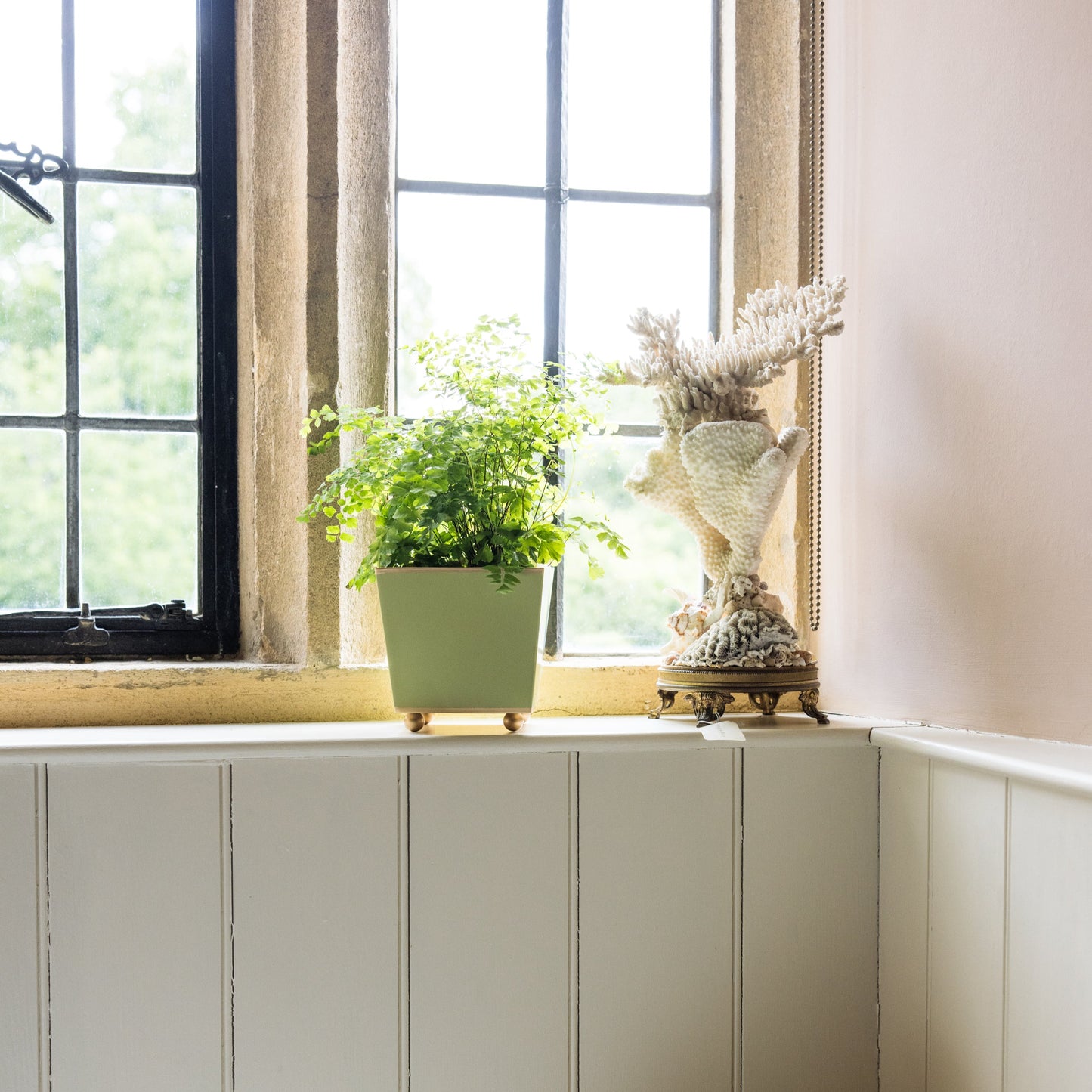 Wooden panelled windowsill ledge with a pale green square plant pot and decorative coral shell sculpture, with a neutral colour scheme.