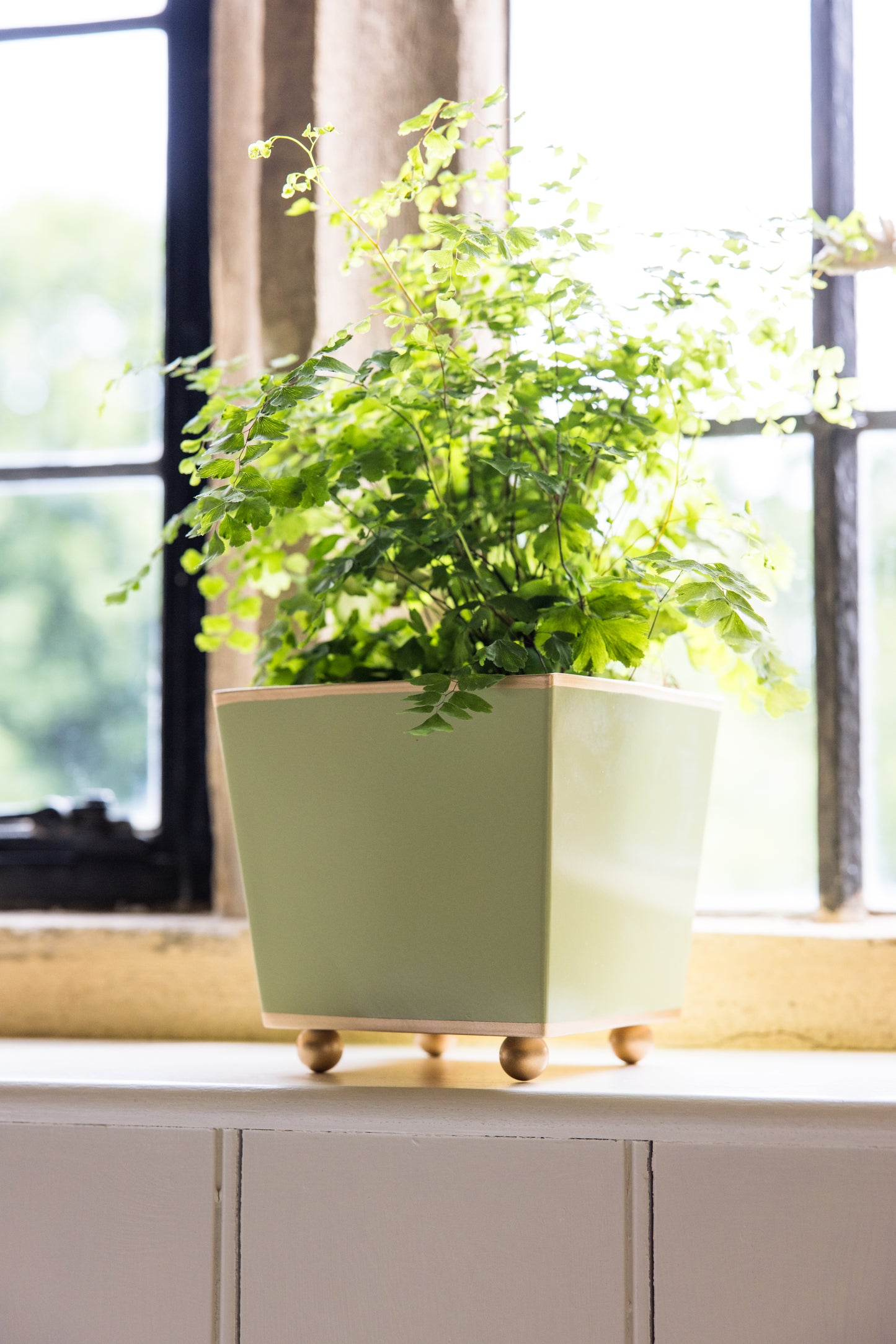 Green potted plant in square pot with round ball feet on a windowsill with natural diffused light.