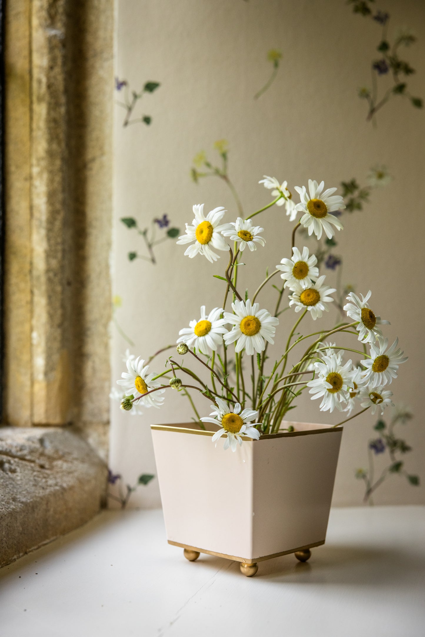 Small white planter with daisies on a light surface with a neutral floral wallpaper background.