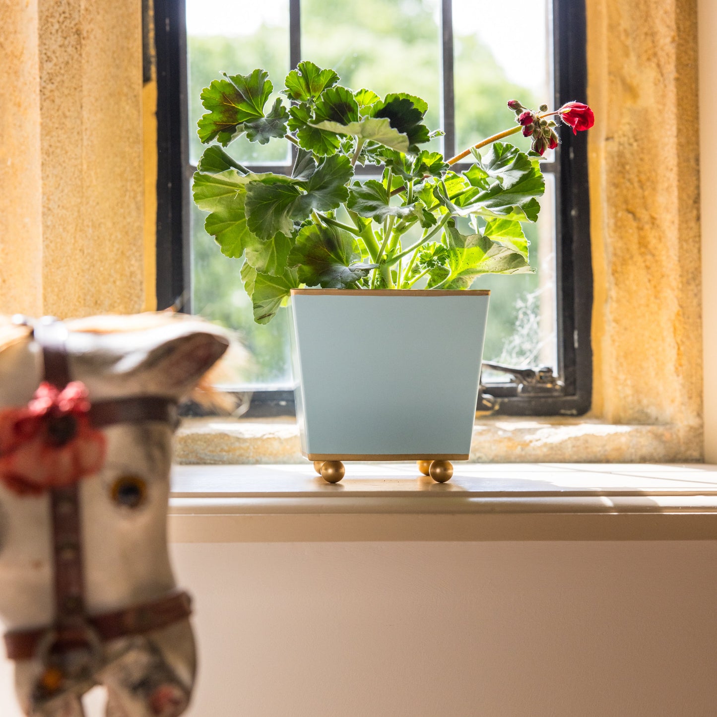 Pale blue potted plant on a windowsill with a horse figurine in the foreground.
