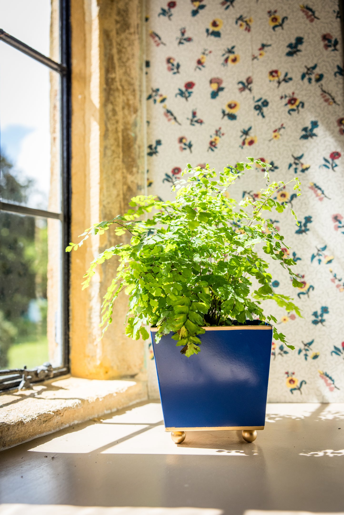 Potted houseplant on a windowsill in a dark blue cube pot with floral wallpaper in the background.
