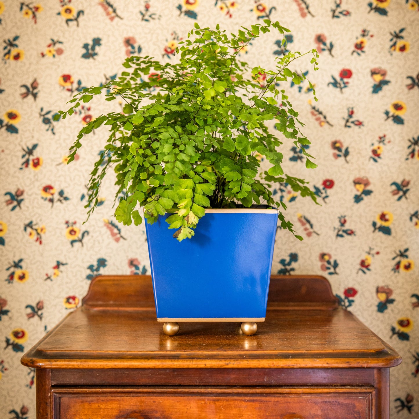 Blue pot with green plant on a wooden dresser against floral wallpaper