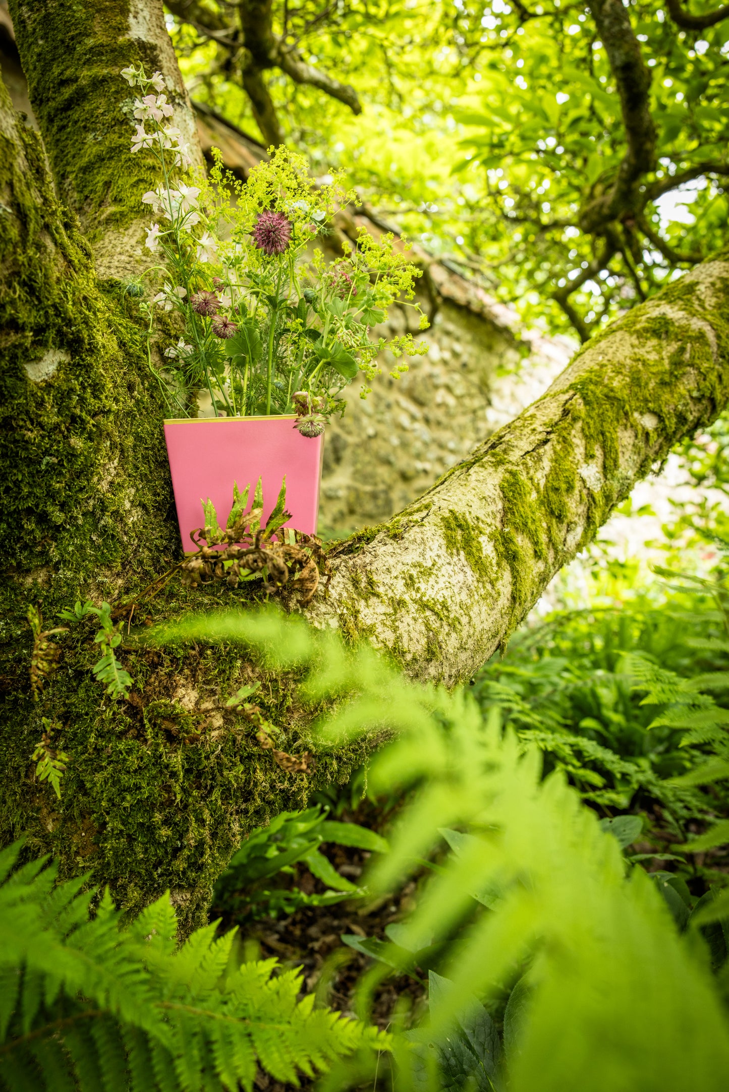 Pink square shaped flowerpot used as a vase filled with wildflowers shown nestled in the arm of a mossy tree with fern leaves in the foreground.