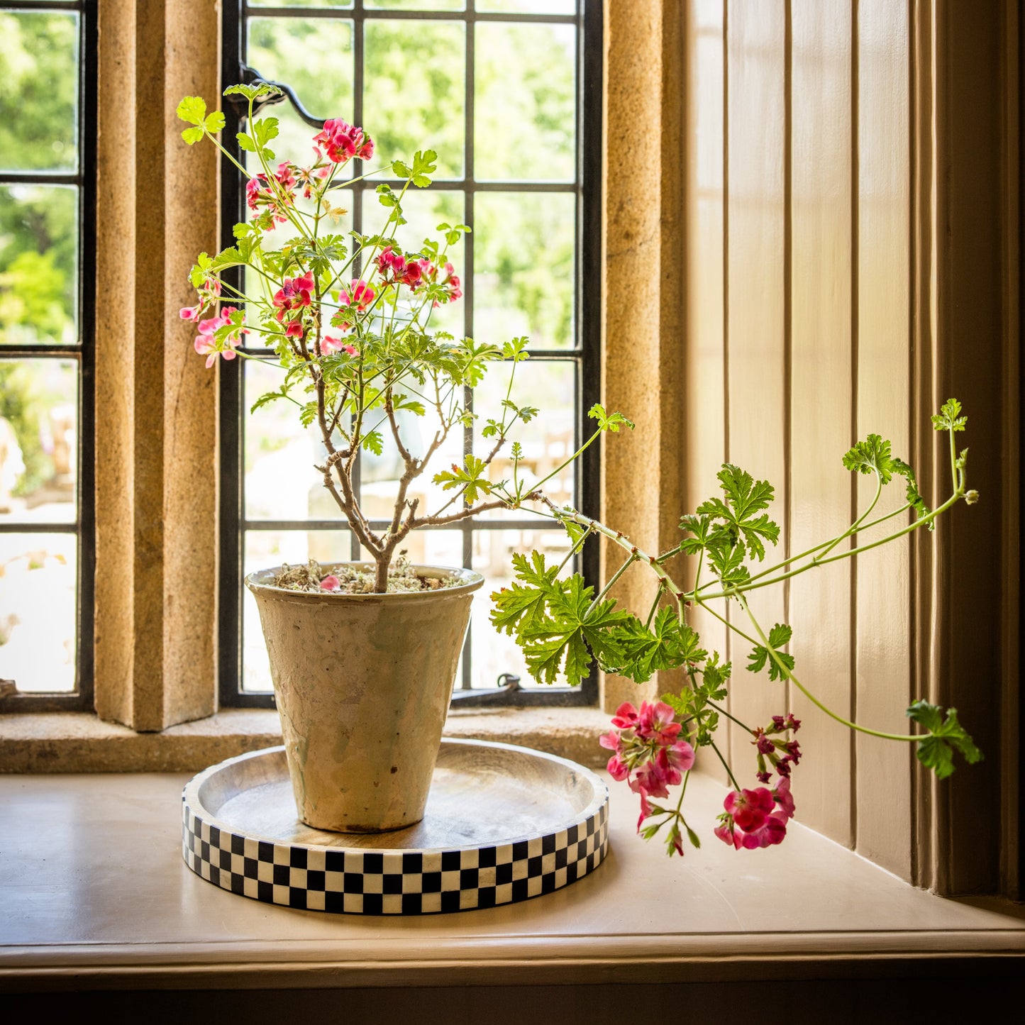 Geranium flowerpot on a checkered tray on an interior bay windowsill with wood panels, traditional iron and stone details.