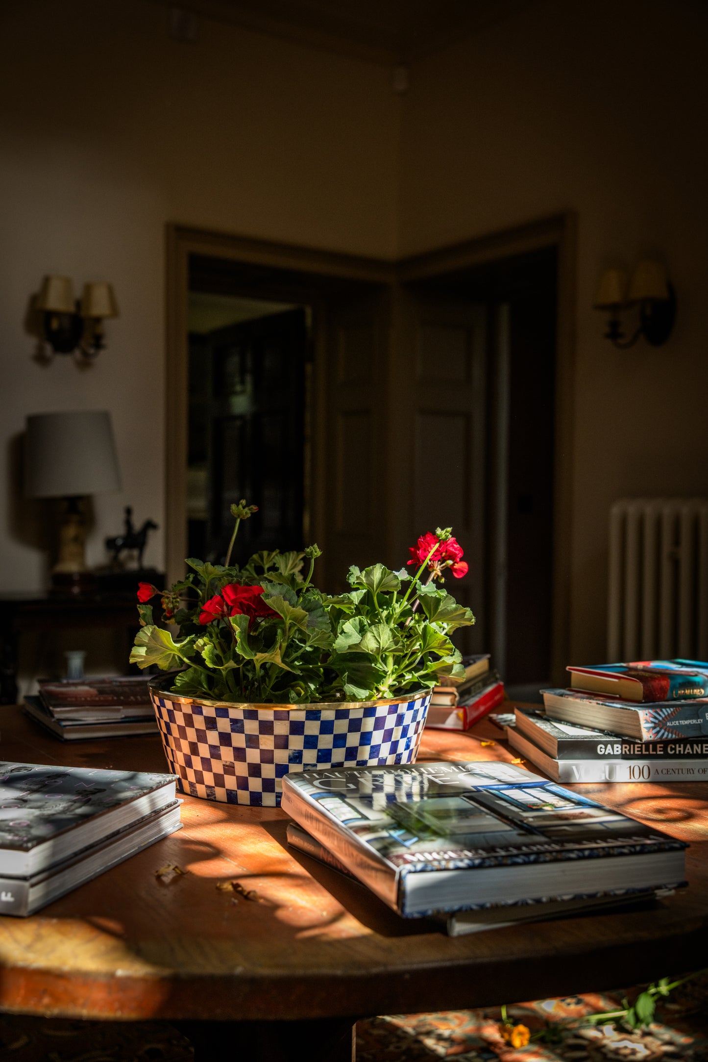 Table with books and a potted red geranium plant in a blue check pot in a dimly lit room