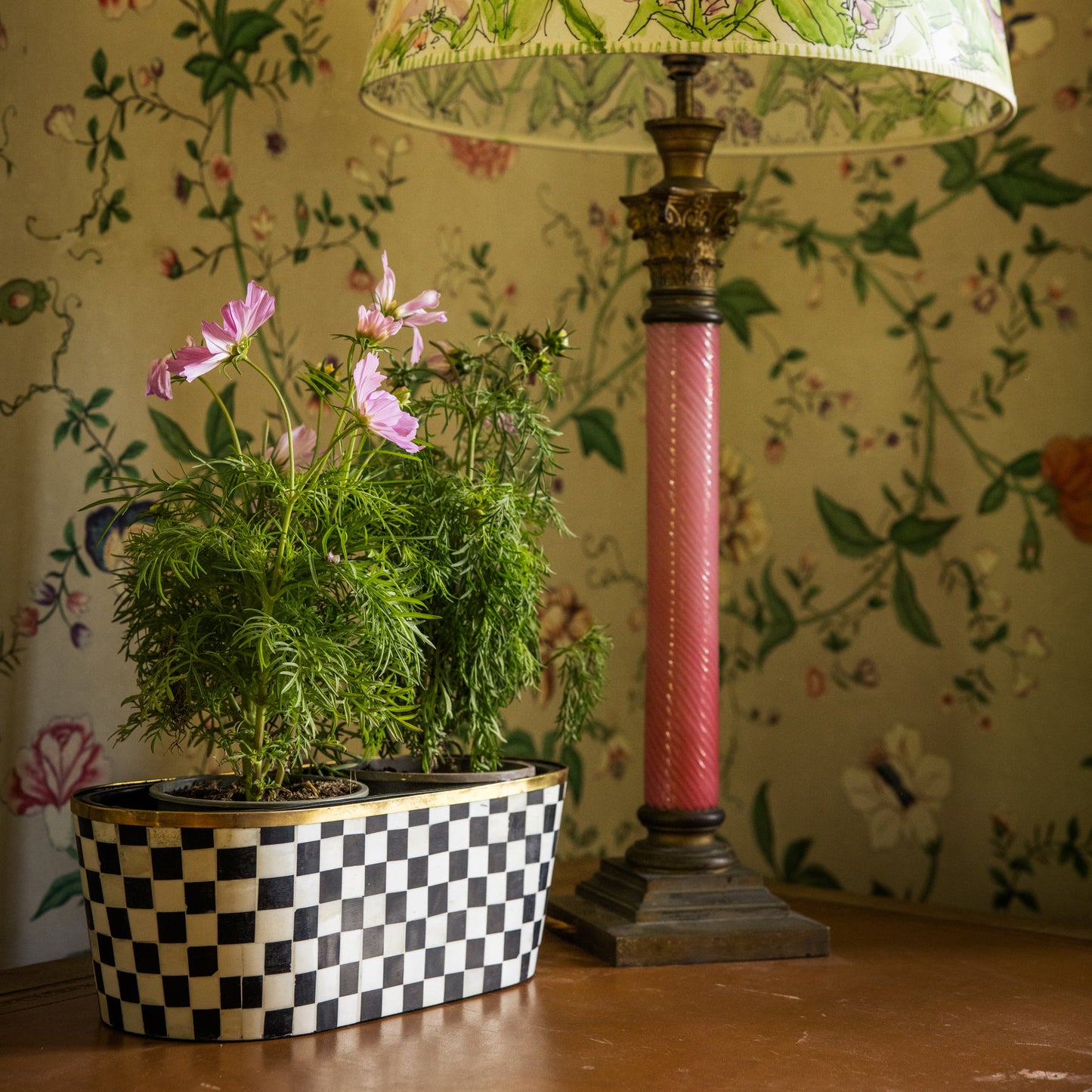 Decorative lamp with floral shade and pink base next to a long potted cosmo flower plant on a wooden table against a floral wallpapered wall.