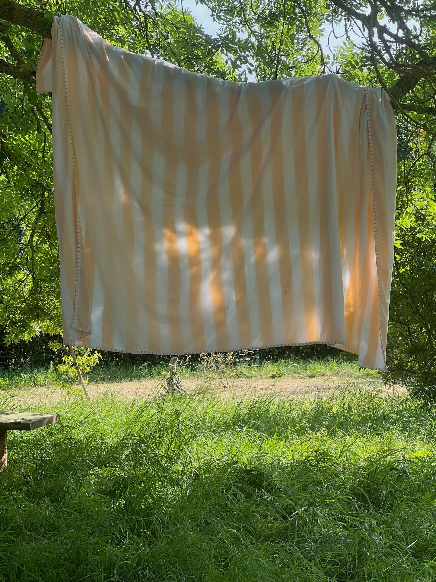A lightweight pale orangey yellow blanket hangs on a tree branch with sunlight shining through, against leaves against the sky in the background and long wild grass in the foreground.