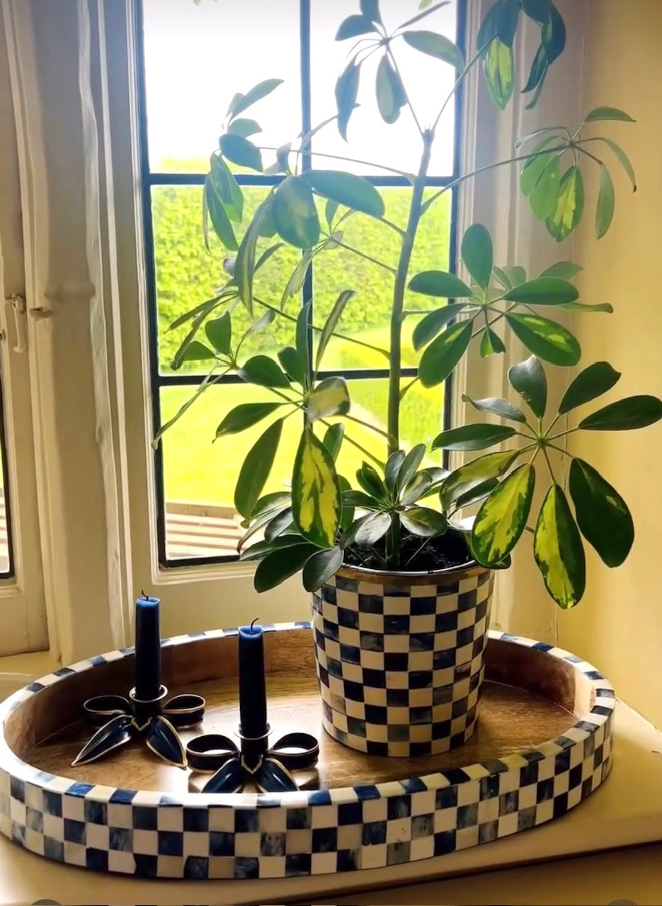 Two dark blue half burnt candles in navy blue bow candleholders next to a blue and white chequered plant pot with small ficus tree in all on a navy and white check oval shaped wooden tray on an interior windowsill.