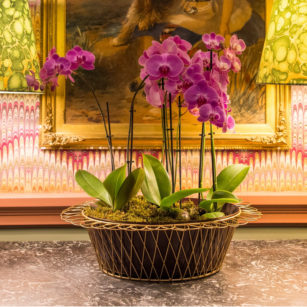 Purple orchids in a decorative pot on a table with a painting and lamps in the background.