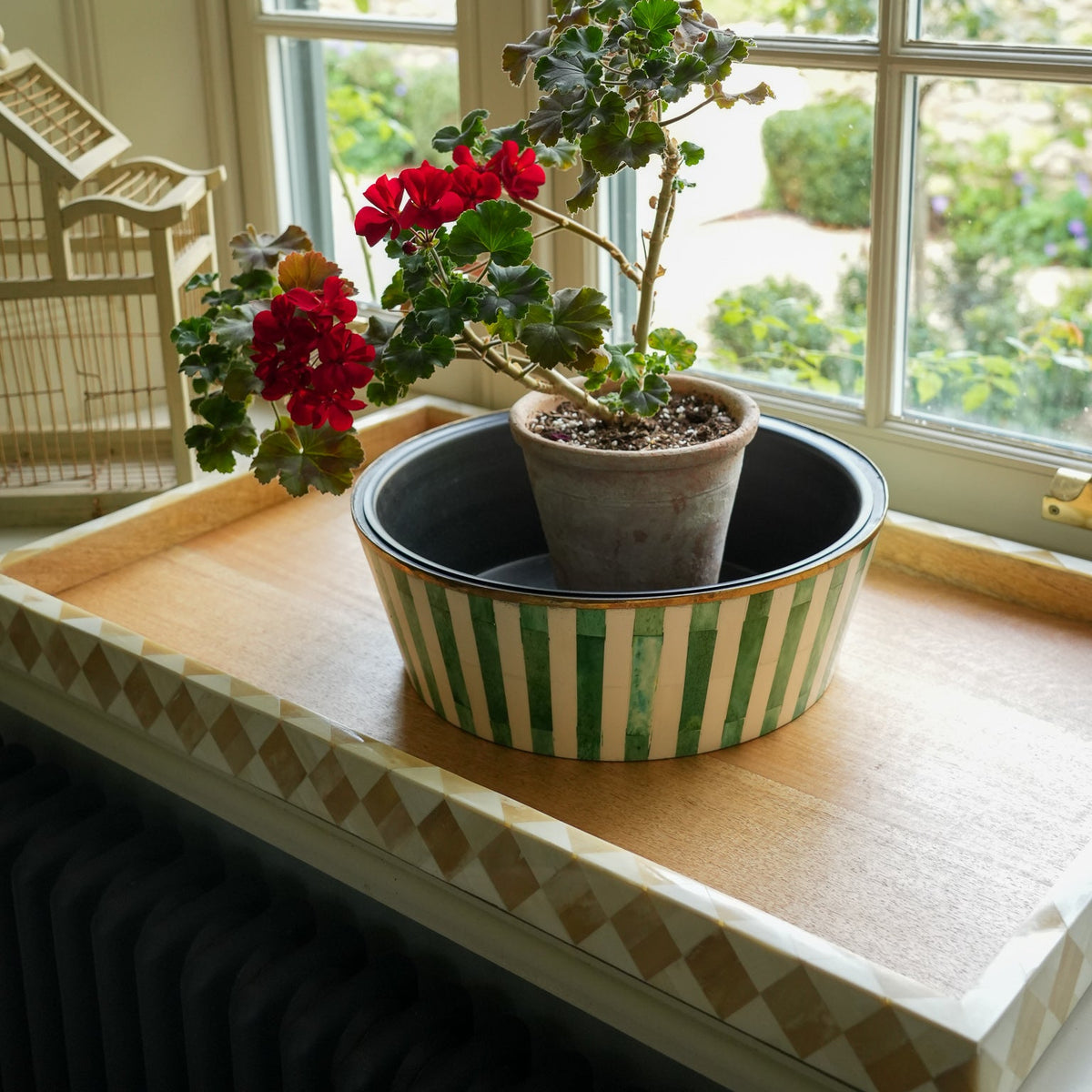 A potted geranium plant with red flowers sits on a wooden windowsill in a sunlit room. The pot is placed inside a green and cream striped dish, with a window and garden visible in the background.