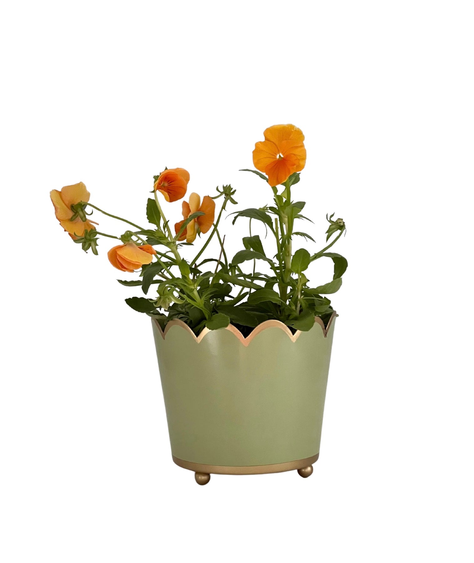 Scalloped Planter | Small | Sage Green – Tooka