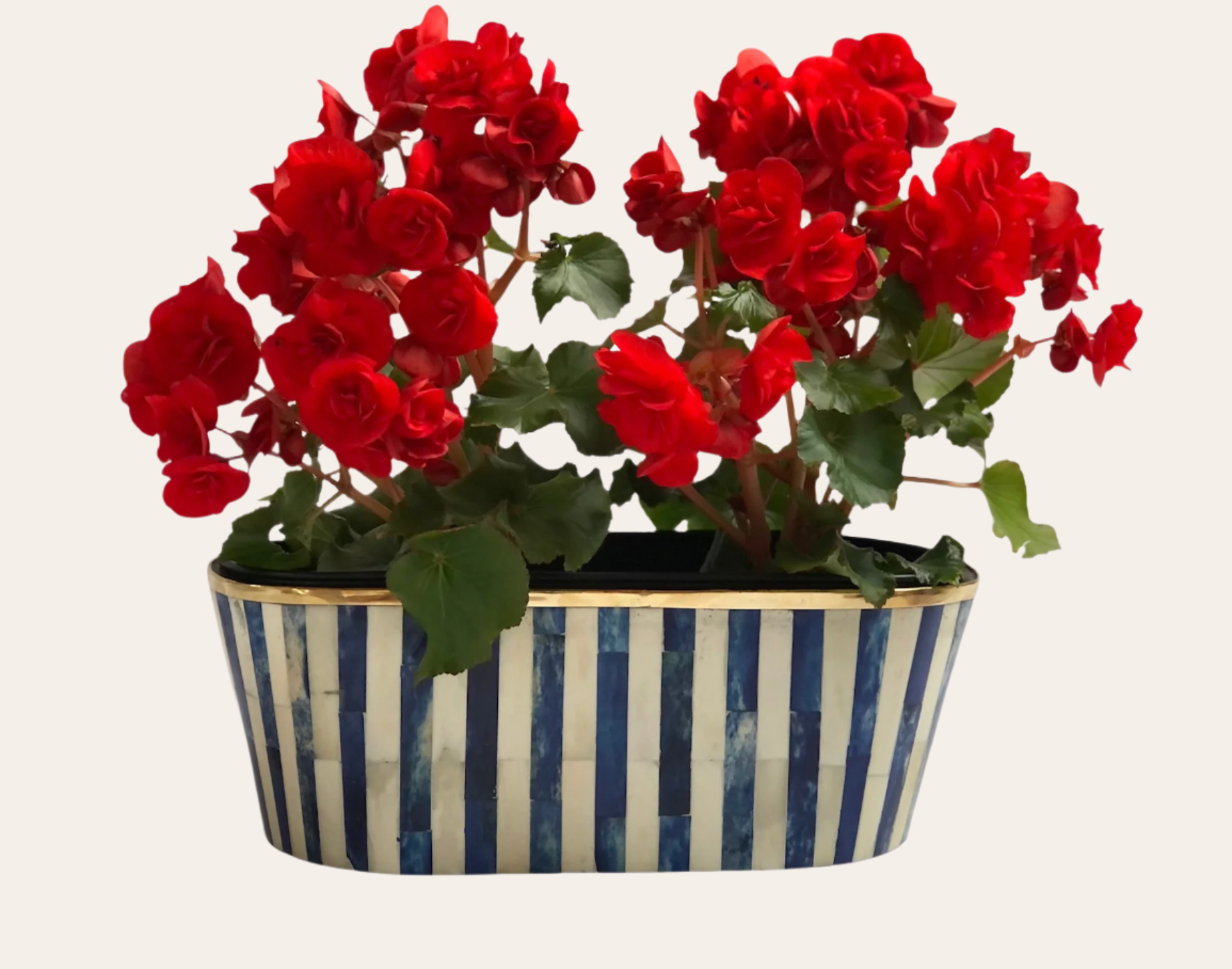 All Planters – Tooka