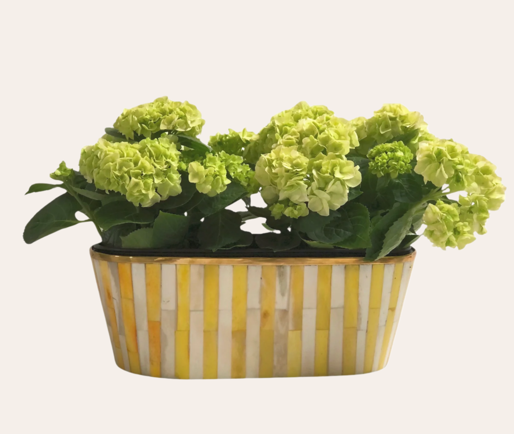 All Planters – Tooka